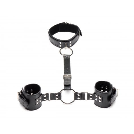Neck to Wrist Restraints