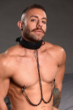 Load image into Gallery viewer, Deluxe Collar with Nipple Clamps
