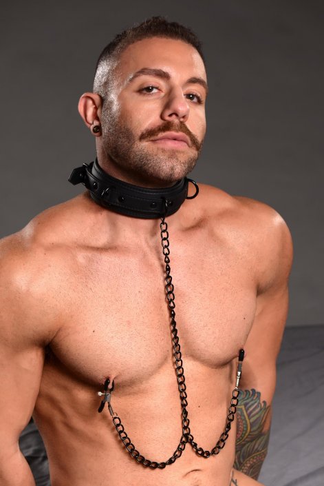 Deluxe Collar with Nipple Clamps